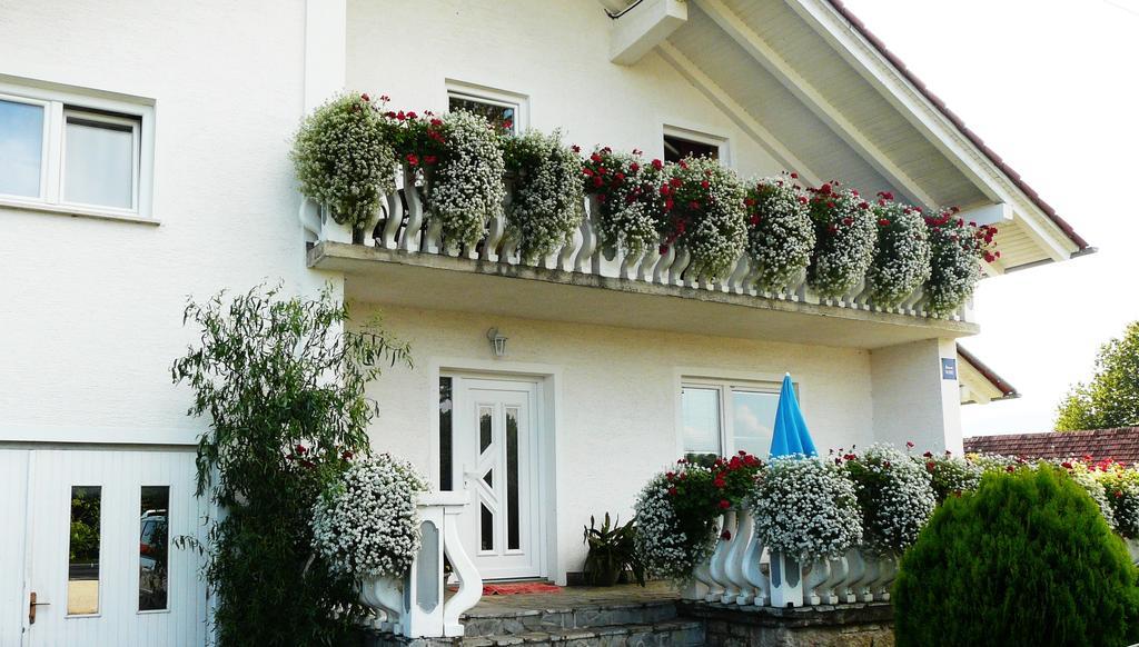 Ranch Terra Hotel Irinovac Exterior photo