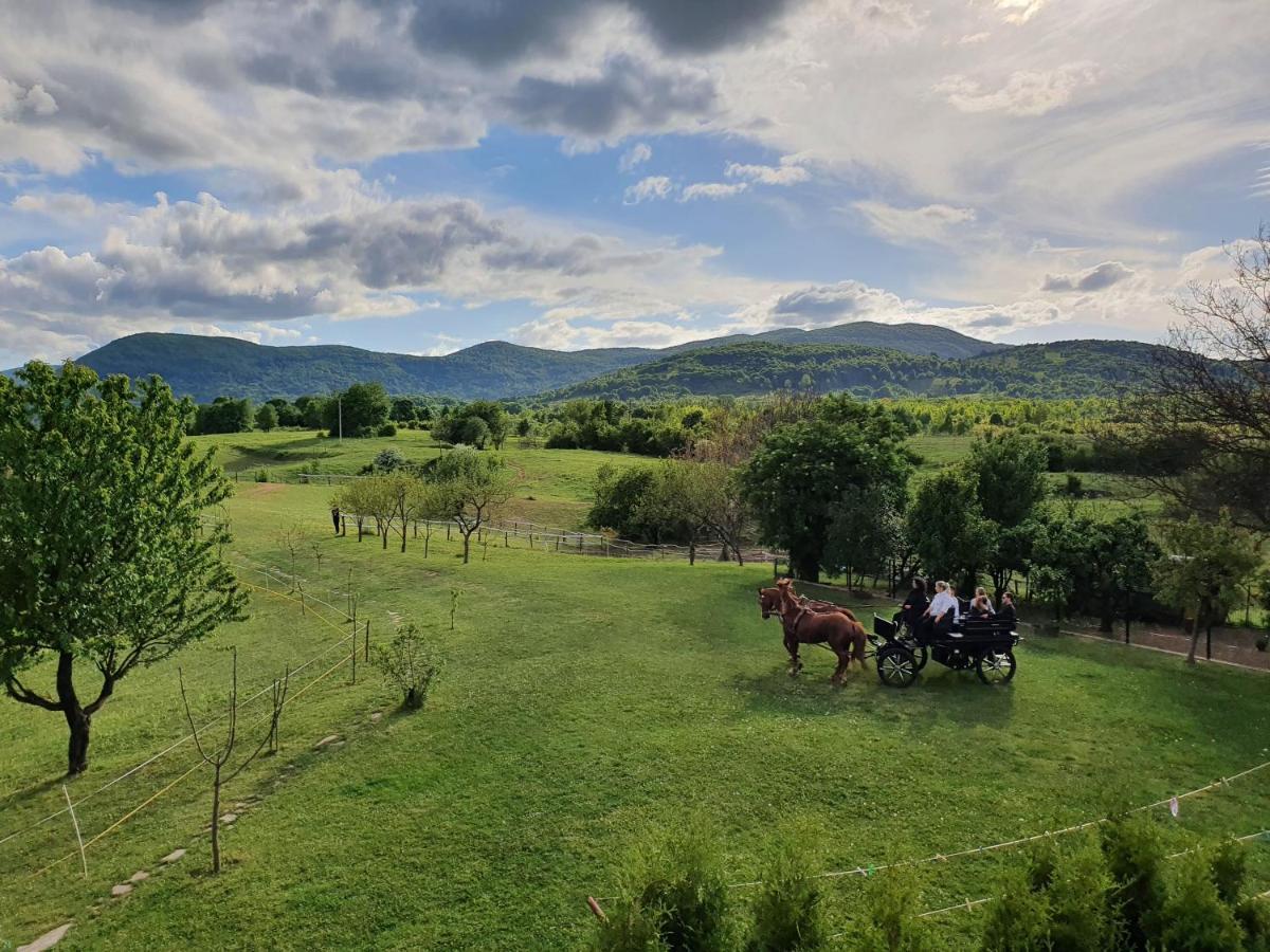 Ranch Terra Hotel Irinovac Exterior photo