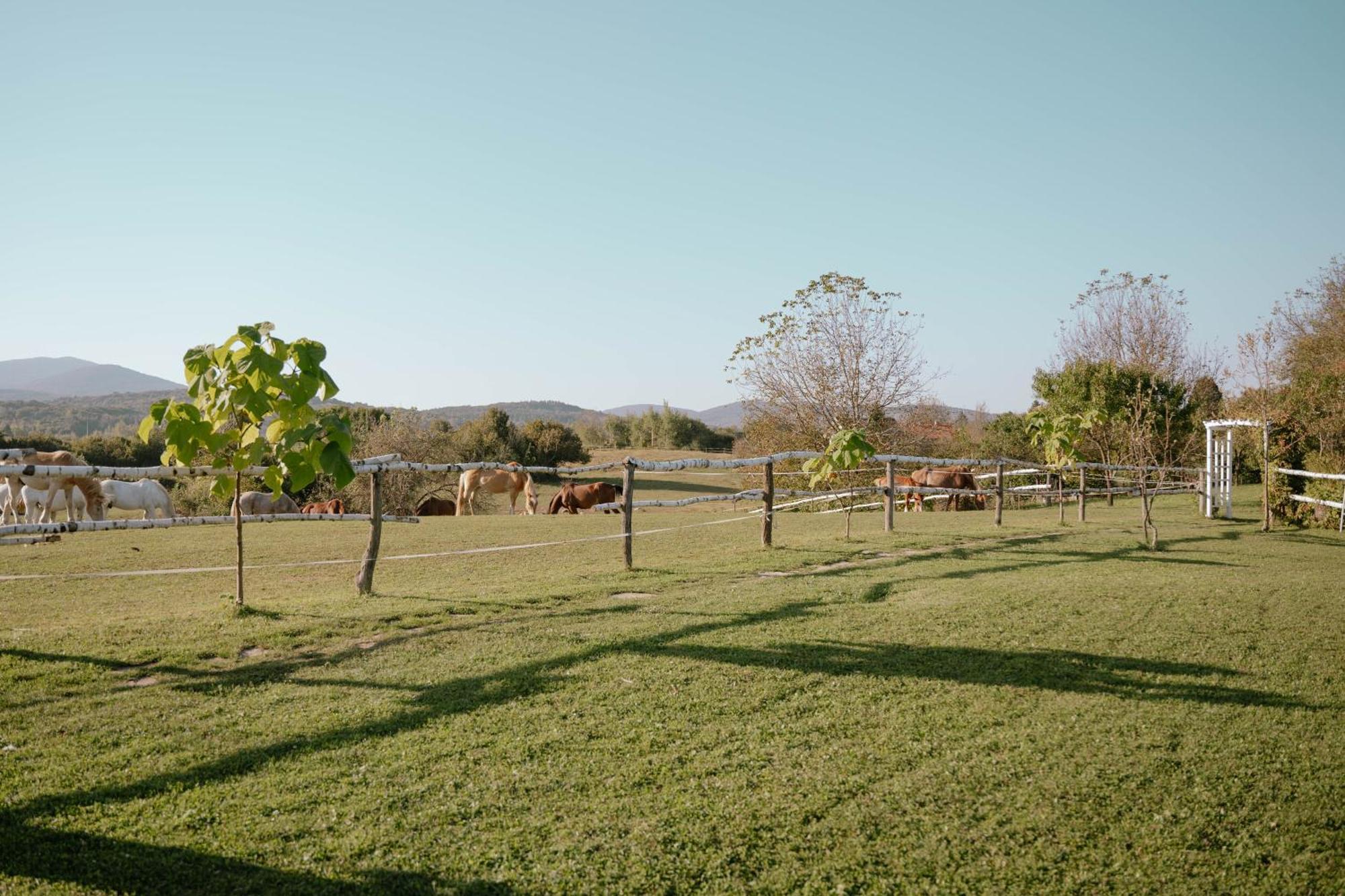 Ranch Terra Hotel Irinovac Exterior photo