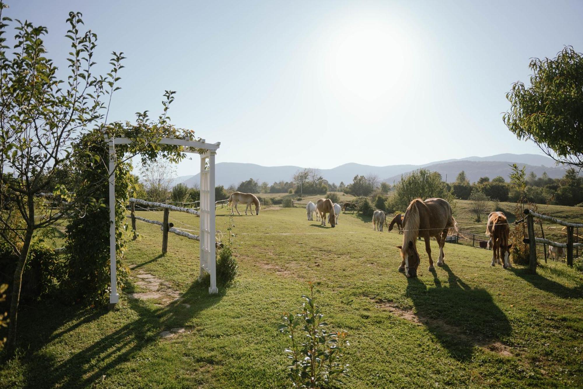 Ranch Terra Hotel Irinovac Exterior photo