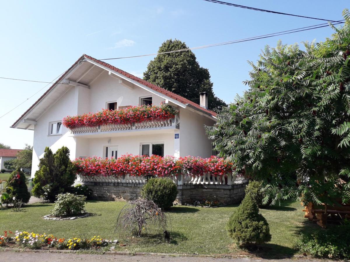 Ranch Terra Hotel Irinovac Exterior photo